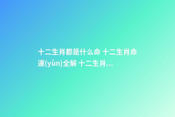十二生肖都是什么命 十二生肖命運(yùn)全解 十二生肖的性格與命運(yùn)-第1張-觀點(diǎn)-玄機(jī)派